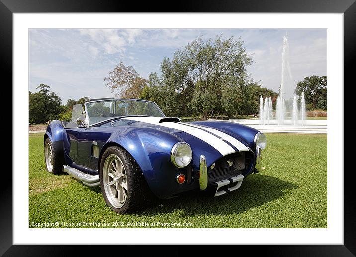 Shelby Cobras at the Los Angeles Arboretum Framed Mounted Print by Nicholas Burningham