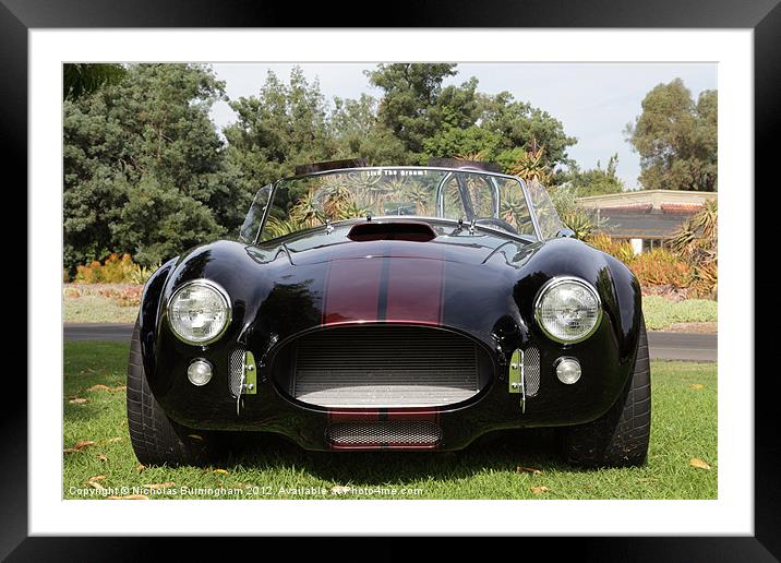 Shelby Cobras at the Los Angeles Arboretum Framed Mounted Print by Nicholas Burningham