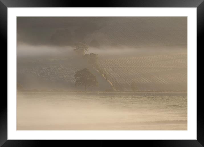 Morning mist Framed Mounted Print by Gavin Wilson