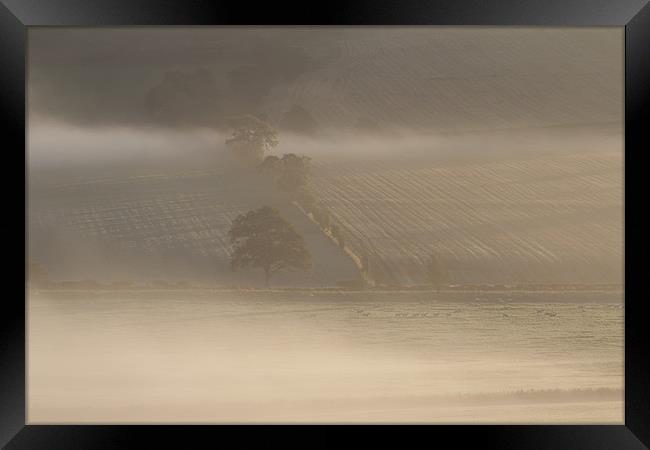 Morning mist Framed Print by Gavin Wilson