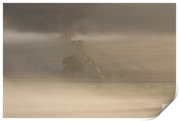 Morning mist Print by Gavin Wilson