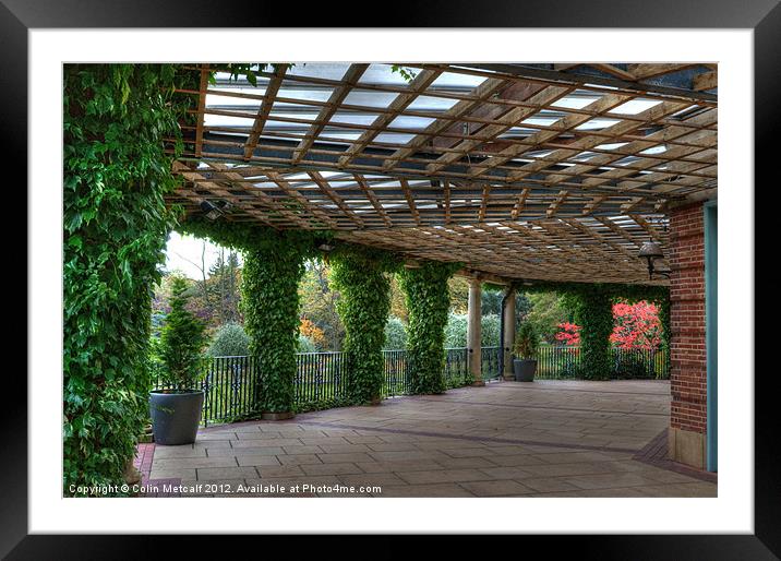 The Sun Pavilion Colonnade Framed Mounted Print by Colin Metcalf