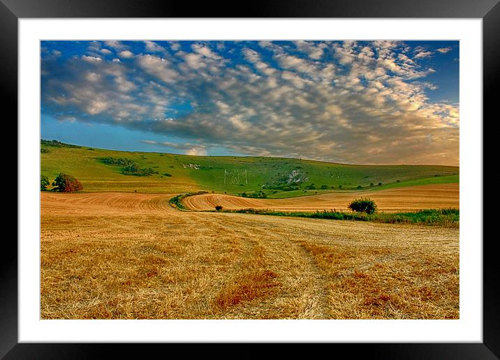 Long Man Harvest Framed Mounted Print by Phil Clements