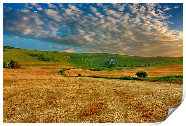 Long Man Harvest Print by Phil Clements