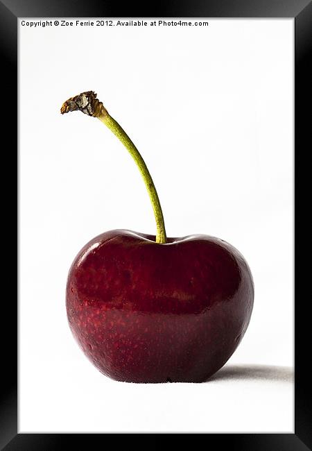 Macro photograph of a single red cherry Framed Print by Zoe Ferrie