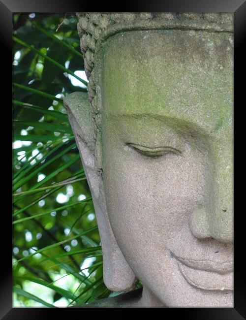 Tranquil Buddha Framed Print by Cliff Hannan
