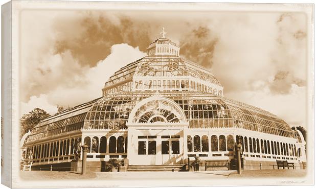 The palm house Canvas Print by sue davies