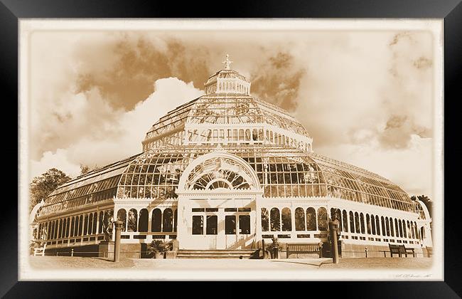 The palm house Framed Print by sue davies