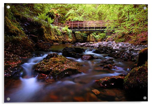 Reelig glen forest walk Acrylic by Macrae Images
