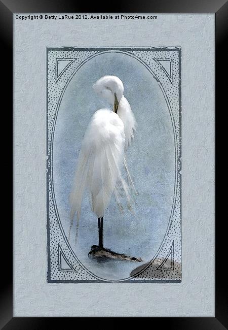 Great Egret Digital Painting #2 Framed Print by Betty LaRue