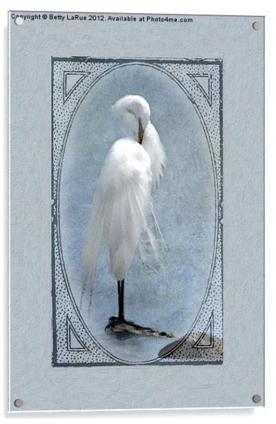 Great Egret Digital Painting #2 Acrylic by Betty LaRue