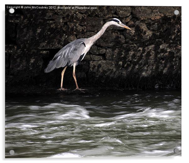Suir River Heron Acrylic by John McCoubrey