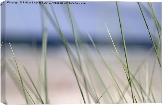 Abstract beach grass sky Canvas Print by Phillip Shannon