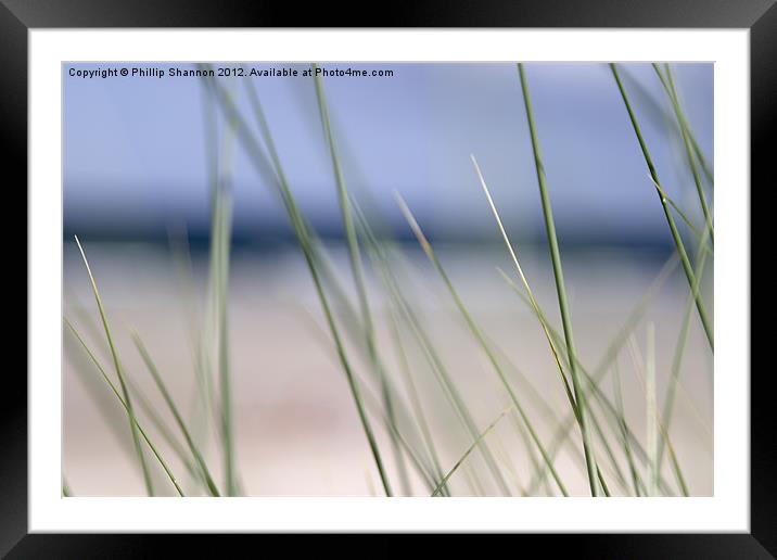 Abstract beach grass sky Framed Mounted Print by Phillip Shannon