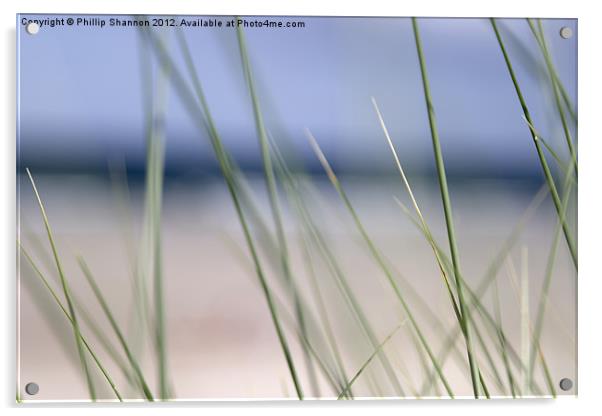 Abstract beach grass sky Acrylic by Phillip Shannon