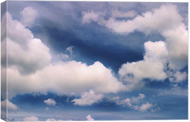 White clouds & Blue sky Canvas Print by Phillip Shannon