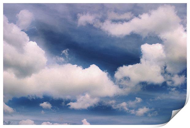 White clouds & Blue sky Print by Phillip Shannon