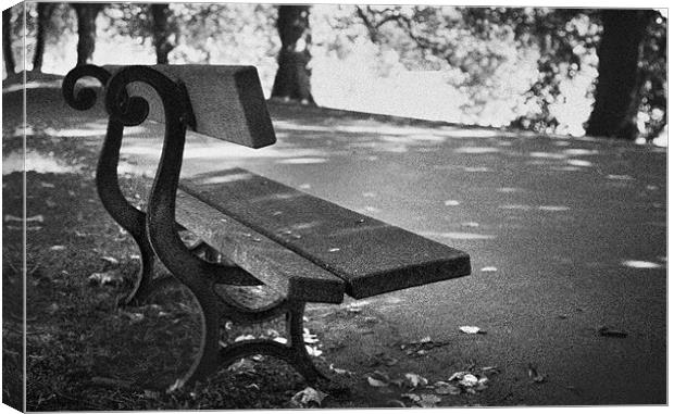 Lonely seat in park Canvas Print by Phillip Shannon