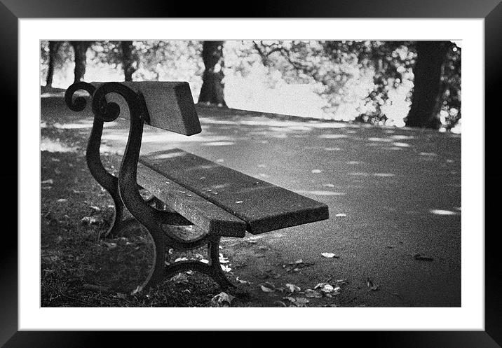 Lonely seat in park Framed Mounted Print by Phillip Shannon