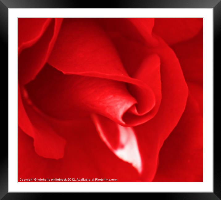 Lovers Rose 2 Framed Mounted Print by michelle whitebrook