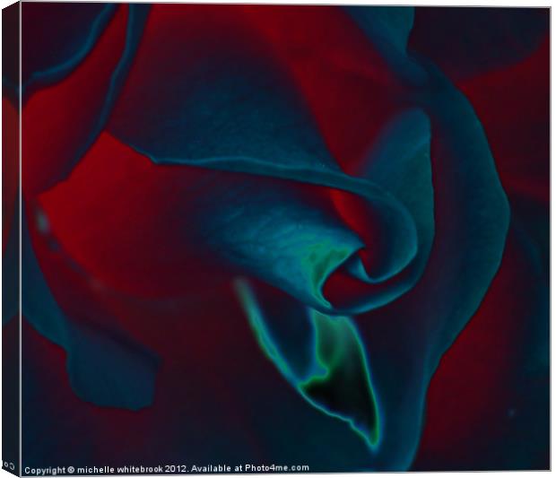 Rose Of Red And Blue Canvas Print by michelle whitebrook