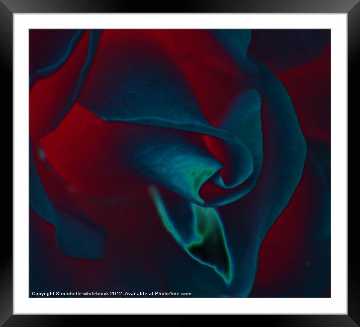 Rose Of Red And Blue Framed Mounted Print by michelle whitebrook