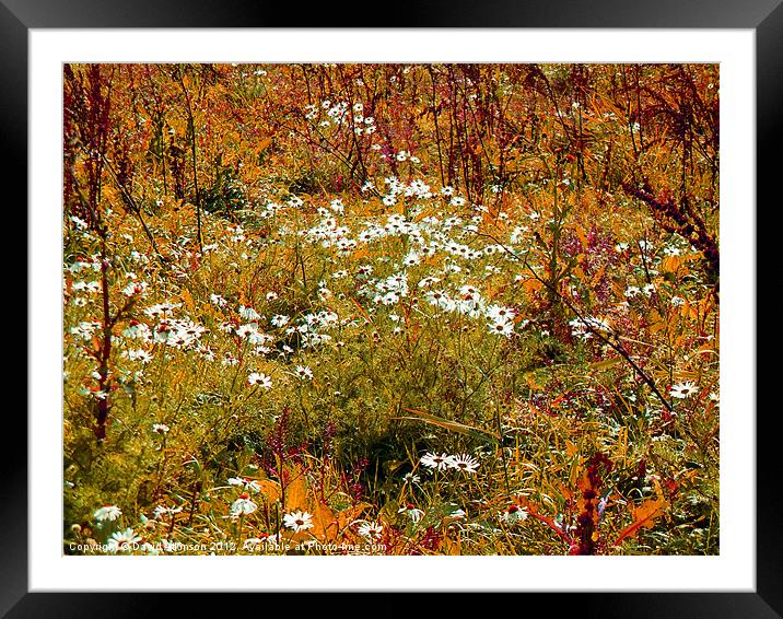 AUTUMN MEADOW Framed Mounted Print by David Atkinson