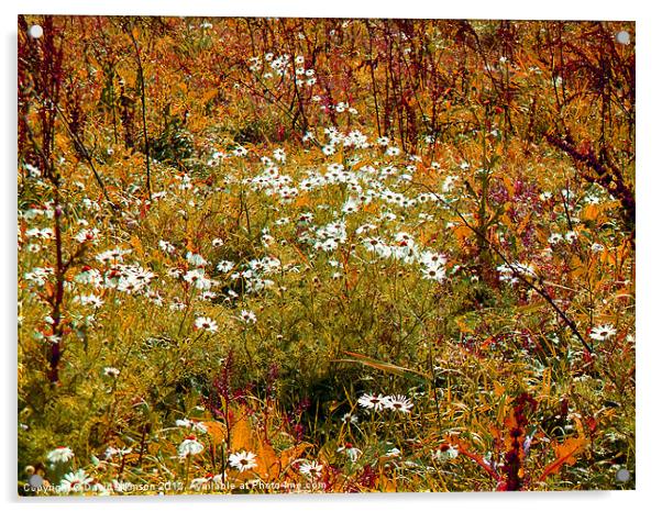 AUTUMN MEADOW Acrylic by David Atkinson