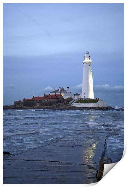 St Mary's Lighthouse Print by Phil Emmerson