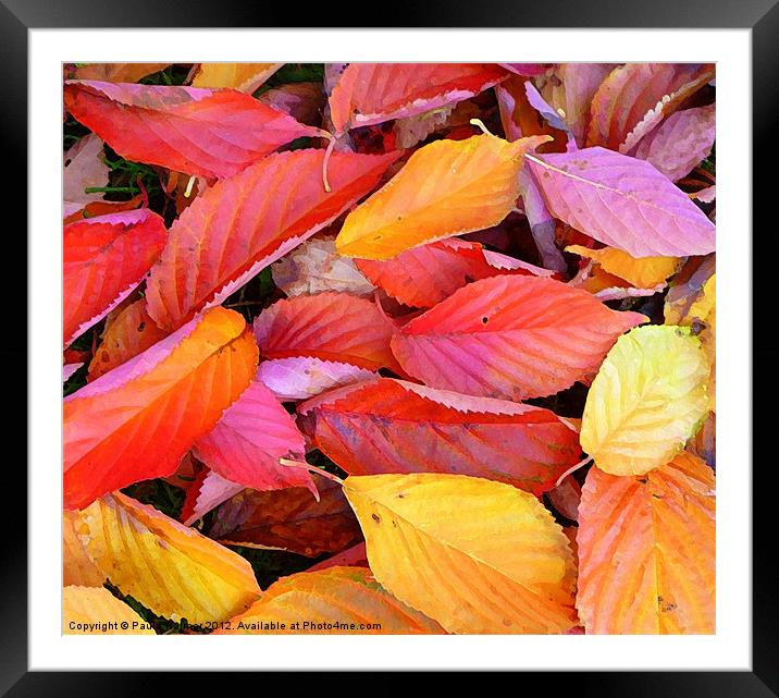 Arty fallen leaves! Framed Mounted Print by Paula Palmer canvas