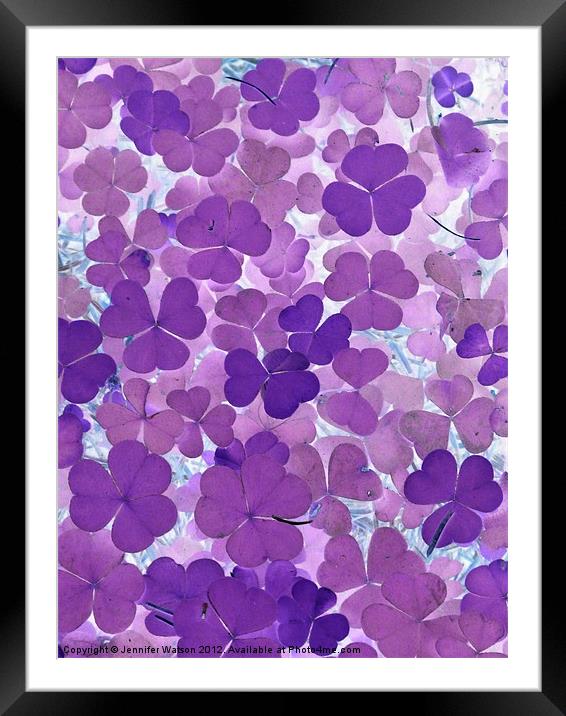 Purple forest floor Framed Mounted Print by Jennifer Henderson