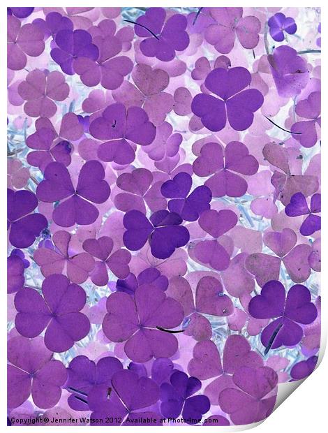 Purple forest floor Print by Jennifer Henderson