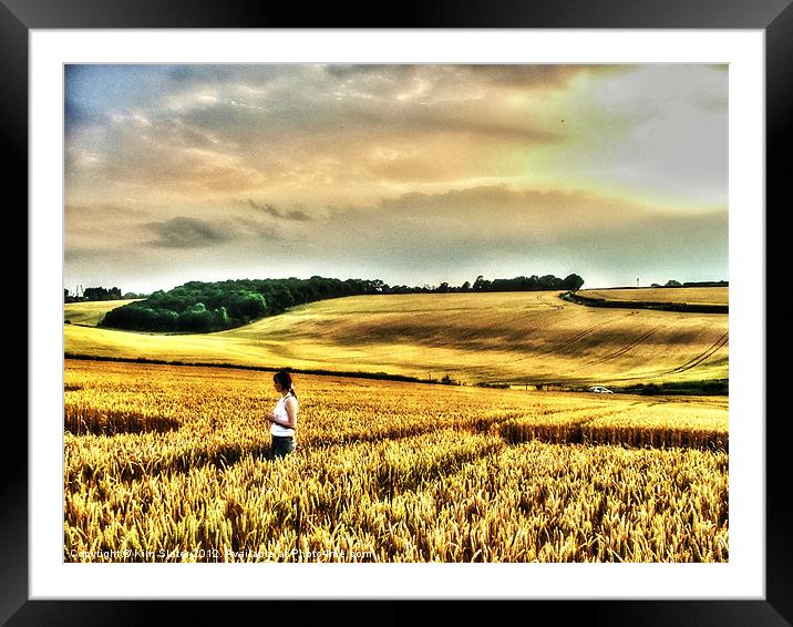 Fields of Gold Framed Mounted Print by Kim Slater