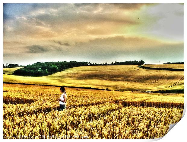 Fields of Gold Print by Kim Slater