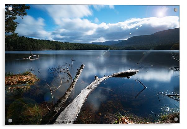 Loch an Eilein Acrylic by Keith Thorburn EFIAP/b