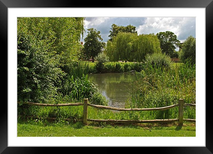 Ham Pond Framed Mounted Print by graham young