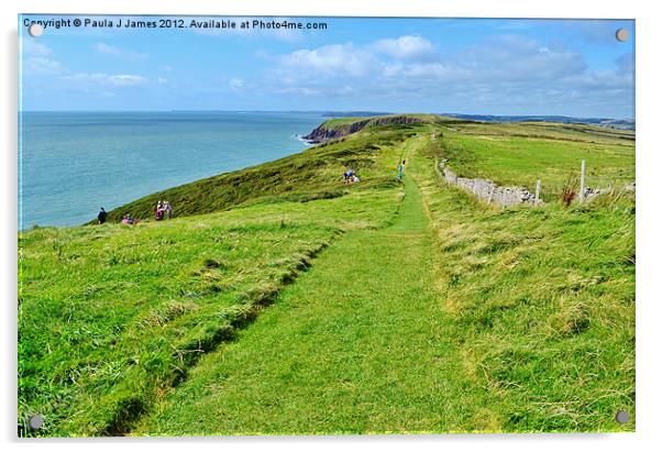 Caldey Island Coast Path Acrylic by Paula J James