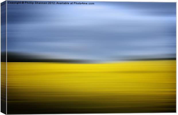 Yellow Rapeseed field and sky Canvas Print by Phillip Shannon
