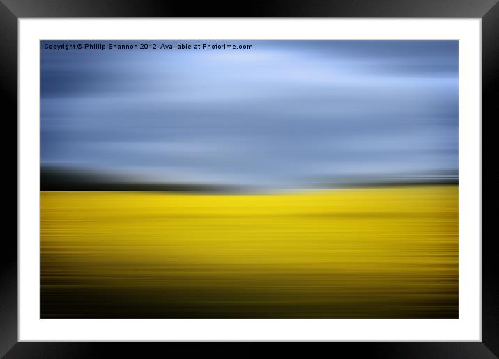 Yellow Rapeseed field and sky Framed Mounted Print by Phillip Shannon