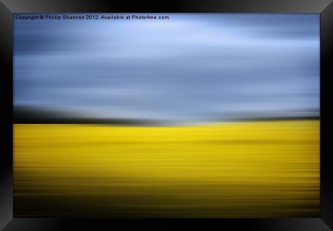 Yellow Rapeseed field and sky Framed Print by Phillip Shannon