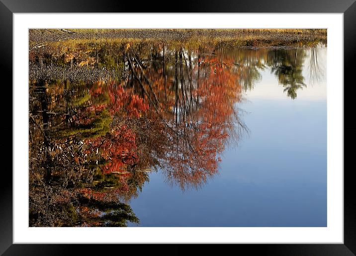 Autumn Reflections Framed Mounted Print by Mary Lane