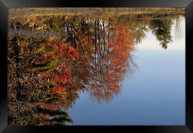 Autumn Reflections Framed Print by Mary Lane
