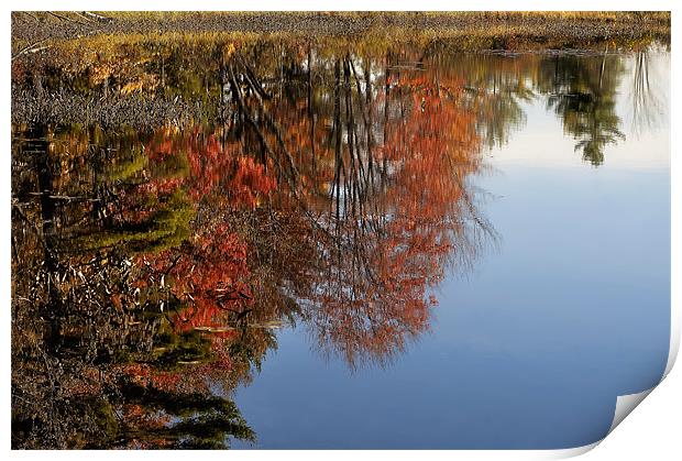 Autumn Reflections Print by Mary Lane