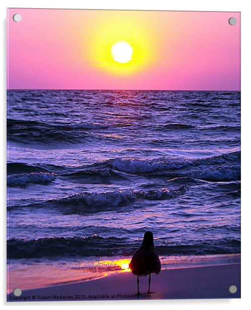 Seagull's Sunset Acrylic by Susan Medeiros