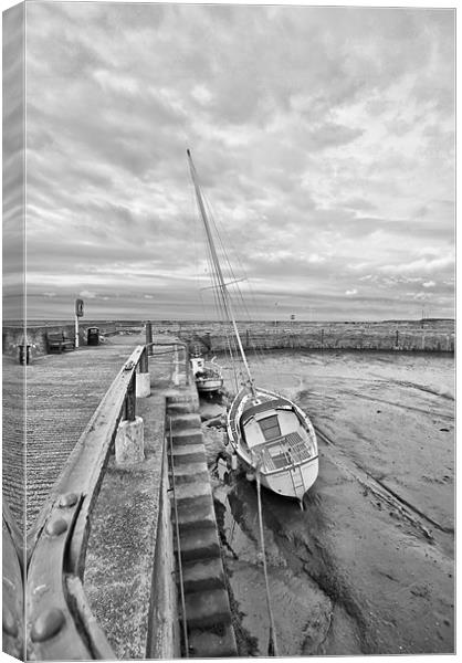 Fisherrow Harbour Canvas Print by Buster Brown