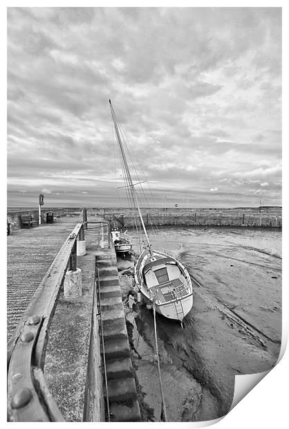 Fisherrow Harbour Print by Buster Brown