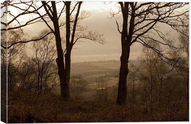 View from the top of Kinver Hills on a misty day Canvas Print by Kelly Astley
