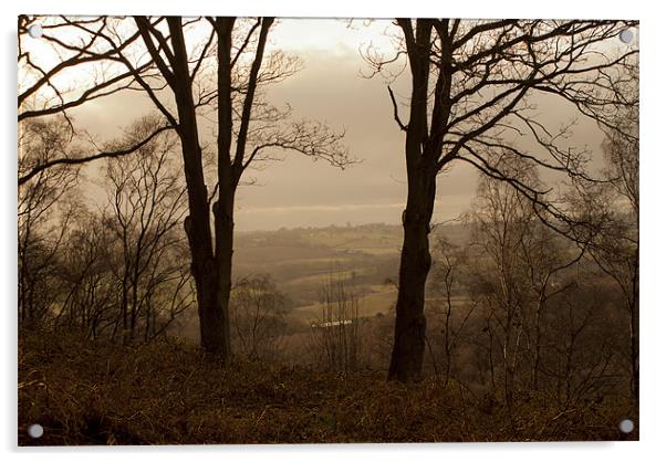 View from the top of Kinver Hills on a misty day Acrylic by Kelly Astley