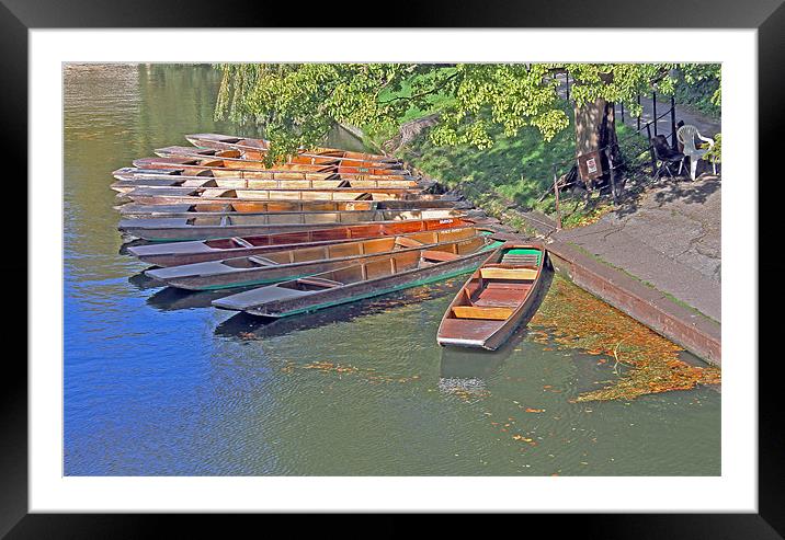 Punts in Cambridge Framed Mounted Print by Tony Murtagh