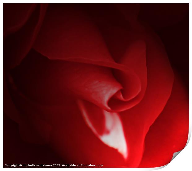 Romantic Rose Print by michelle whitebrook